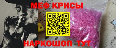 крисы Кингисепп