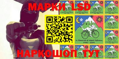 крисы Кингисепп