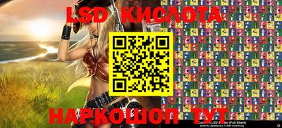 крисы Кингисепп