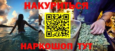крисы Кингисепп