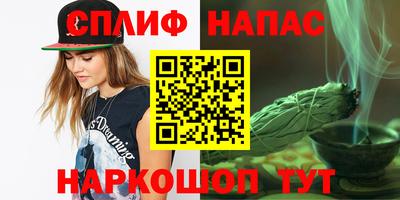 крисы Кингисепп
