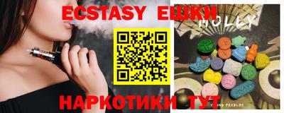 крисы Кингисепп