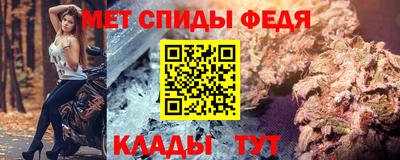 крисы Кингисепп