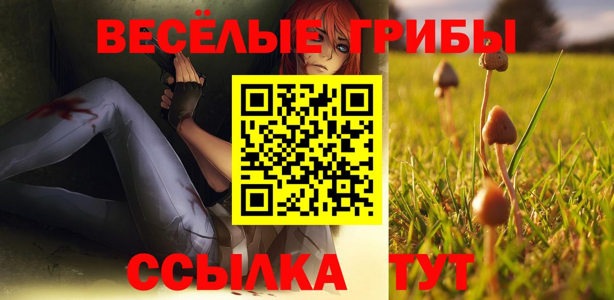 Кудымкар  Псилоцибиновые грибы прущие грибы  Вход с VPN  Псилоцибиновые грибы мухоморы 