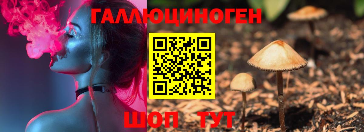 Галлюциногенные грибы Psilocybe Кудымкар